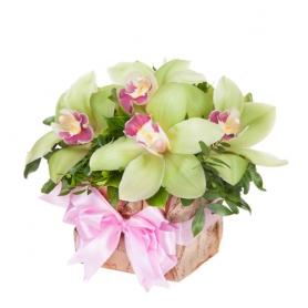 Композиция «Орхидеи в коробочке»