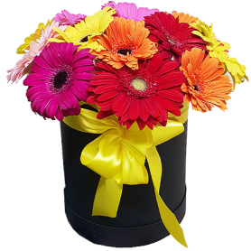 Композиция в шляпной коробке «Радуга»